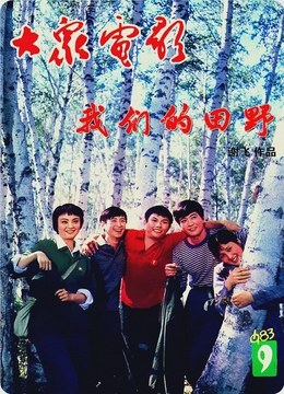 我们的田野1983[电影解说]