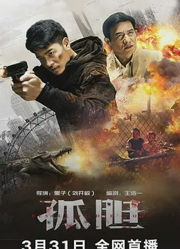 孤胆[电影解说]
