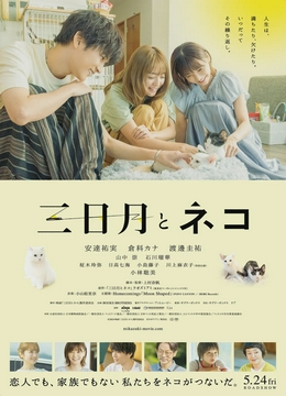 三日月与猫[电影解说]